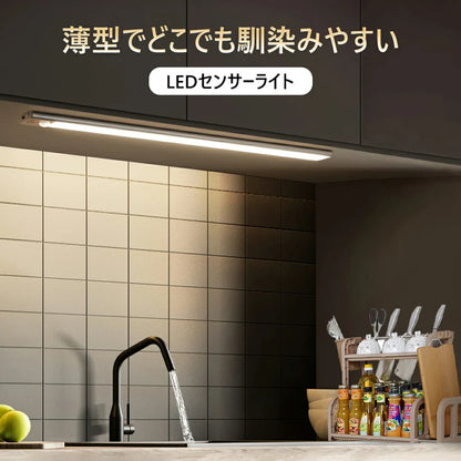 【本日終了間近！No.1獲得】Smart Motion Light™ 20cm 充電式